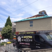 new Roof