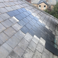 Skylight - After
